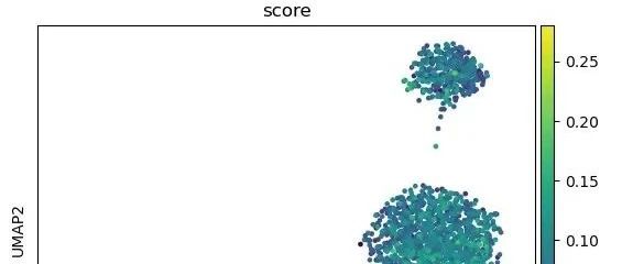 python单细胞数据的基因集打分