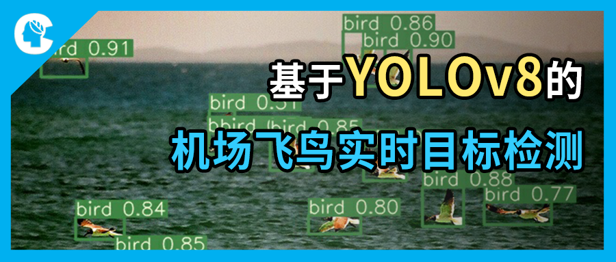 机场安全项目｜基于改进 YOLOv8 的机场飞鸟实时目标检测方法