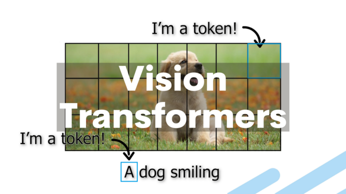 Vision Transformers与卷积神经网络详细训练对比（附代码）