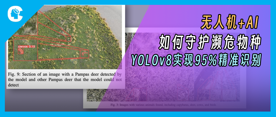 AI+无人机如何守护濒危物种？YOLOv8实现95%精准识别