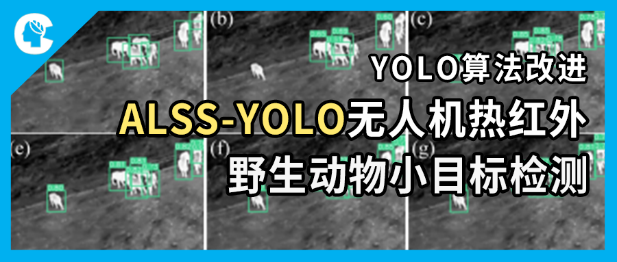 【YOLO算法改进】ALSS-YOLO：无人机热红外图像｜野生动物小目标检测
