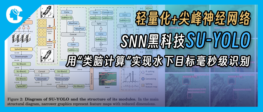 告别水下模糊！SU-YOLO：轻量化+尖峰神经网络，用“类脑计算”实现水下目标毫秒级识别
