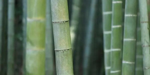 价格方案