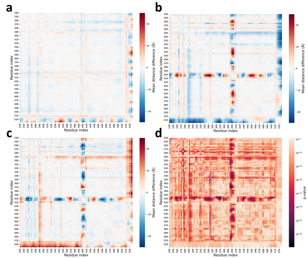 该图展示了 ABL 三种状态间的差异距离矩阵,a 为 I₁状态与 A 状态的差异,b 为 I₂状态与 A 状态的差异,c 为 I₁状态与 I₂状态的差异,同时包含单因素方差分析的 F 统计值,颜色强度表示残基对距离分布在不同状态间差异的显著性,为理解构象差异提供了量化依据。