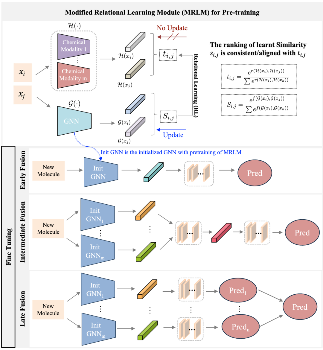 MMFRL框架图。该图展示了如何迁移单一模态的知识并通过融合进一步提升性能。MMFRL 无需定义正负样本对，能够从目标相似性中学习连续排序。