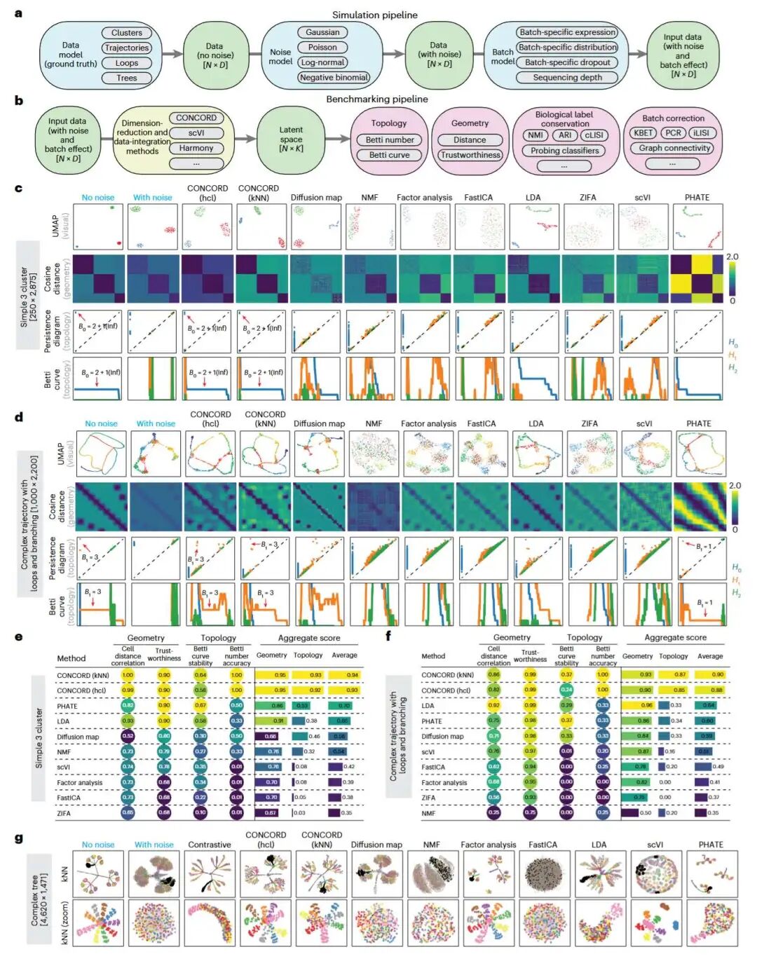 在包含三类簇、复杂轨迹(带环和分支)和层次化分支树的模拟数据上,对比 CONCORD 与其他降维方法的性能