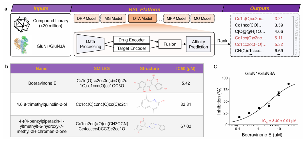 该图分为两部分:a 展示了 BSL 平台利用 AI 驱动的 CLG-DTA 模型进行 GluN1/GluN3A 受体药物筛选的工作流程,包括输入化合物库与受体序列、通过药物编码器和靶点编码器处理数据、融合预测亲和力并排序候选化合物;b 列出了筛选出的 3 种具有生物活性的化合物,包括其名称、SMILES 结构和 IC50 值(如 Boeravinone E 的 IC50 为 5.42μM),验证了平台在缺乏晶体结构时的实际筛选能力。