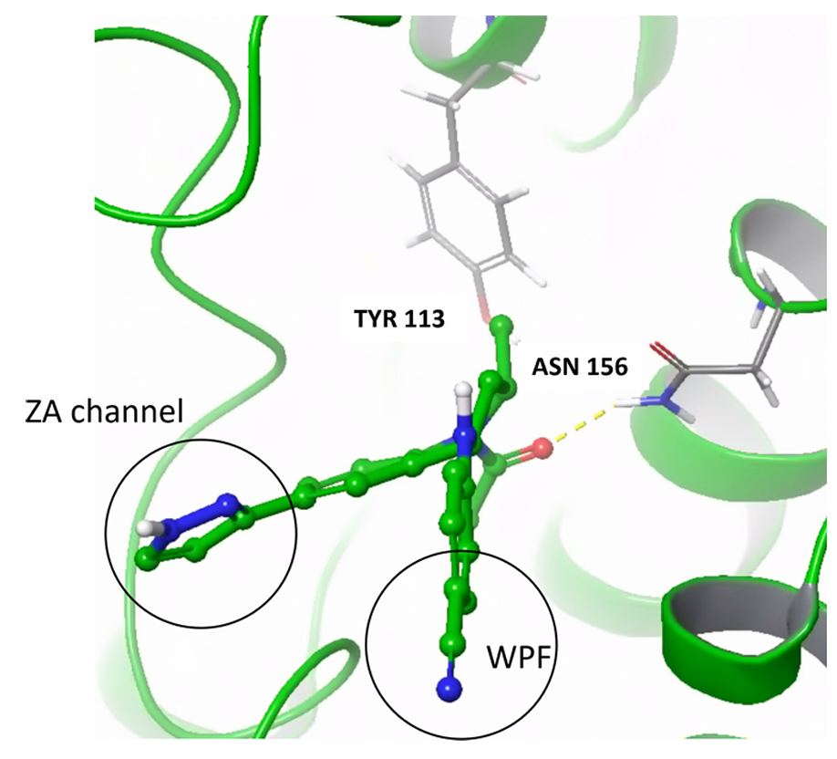 该图展示了 BRD2 蛋白与结晶配体的结合模式，标注了活性必需的关键相互作用：与保守 Asn156 的相互作用、疏水 “WPF” 基序结合位点以及 “ZA” 通道的体积需求。这些特征用于评估分子生成器对 BET 家族蛋白特异性相互作用的重现能力，尤其是对疏水作用和空间约束的模拟精度。