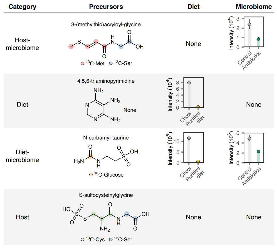 部分未识别代谢物的来源推断。作者结合饮食干预、抗生素处理和 13C 同位素示踪，将代表性代谢物分别归为宿主-微生物、饮食、饮食-微生物或宿主来源。