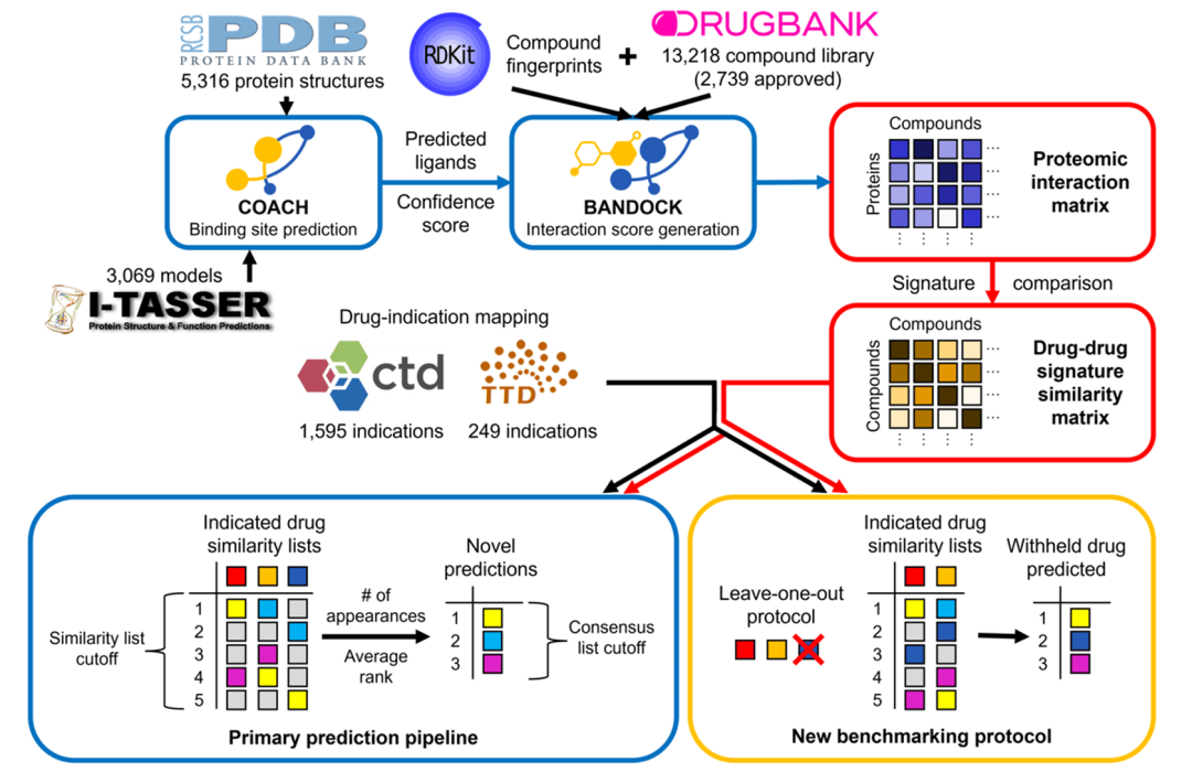 图1. CANDO 预测和基准测试流程示意图。该图展示了 CANDO 的主要预测流程和基准测试流程。左侧为主要预测流程,涉及从 PDB 和 I-TASSER 获取蛋白质结构及模型,通过 COACH 预测结合位点,结合 RDKit 的化合物指纹和 BANDOCK 协议计算化合物 - 蛋白质相互作用分数,生成相互作用特征,再基于 CTD 或 TTD 的药物 - 适应症映射生成药物 - 药物特征相似性矩阵,最终通过共识协议生成候选药物预测。右侧为新基准测试流程,采用 “留一法”,将某一药物从适应症中排除后,基于剩余药物预测其排名,以评估平台性能。两者的区别在于,原始基准测试关注单个相似性列表,而新协议评估最终的共识列表。