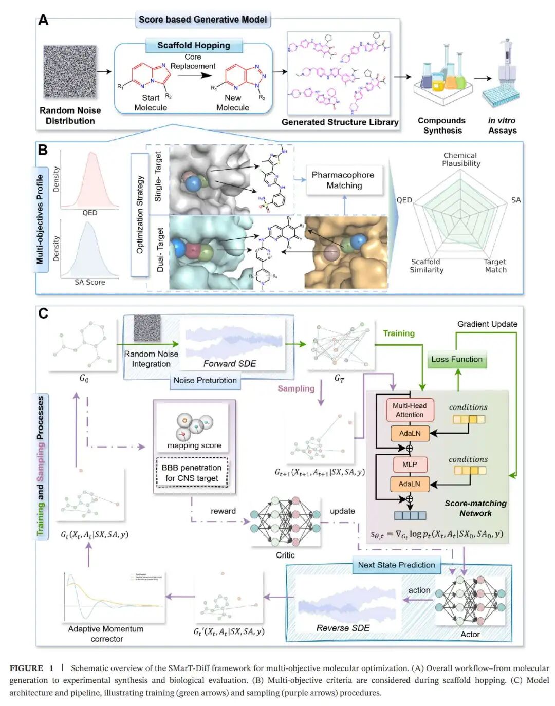 SMarT-Diff 的整体工作流程。模型以扩散生成框架为核心,将 Bemis-Murcko 分子骨架、药物相似性、合成可及性、药效团匹配和血脑屏障通透性等条件纳入生成过程,并通过候选分子的合成与体外活性实验验证生成结果。