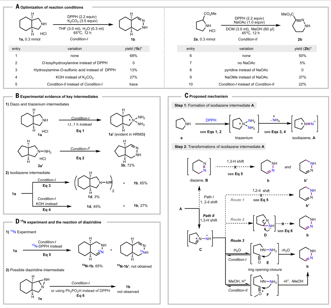 该图涉及反应条件优化和机理研究，包括：（A）反应条件的优化；（B）关键中间体的实验证据；（C）提出的反应机理；（D）¹⁵N 标记实验及二氮杂环丙烷的反应。其中，粗品 NMR 产率以 CH₂Br₂为内标，标注了 THF、DCM、r.t.、HRMS 等缩写的含义