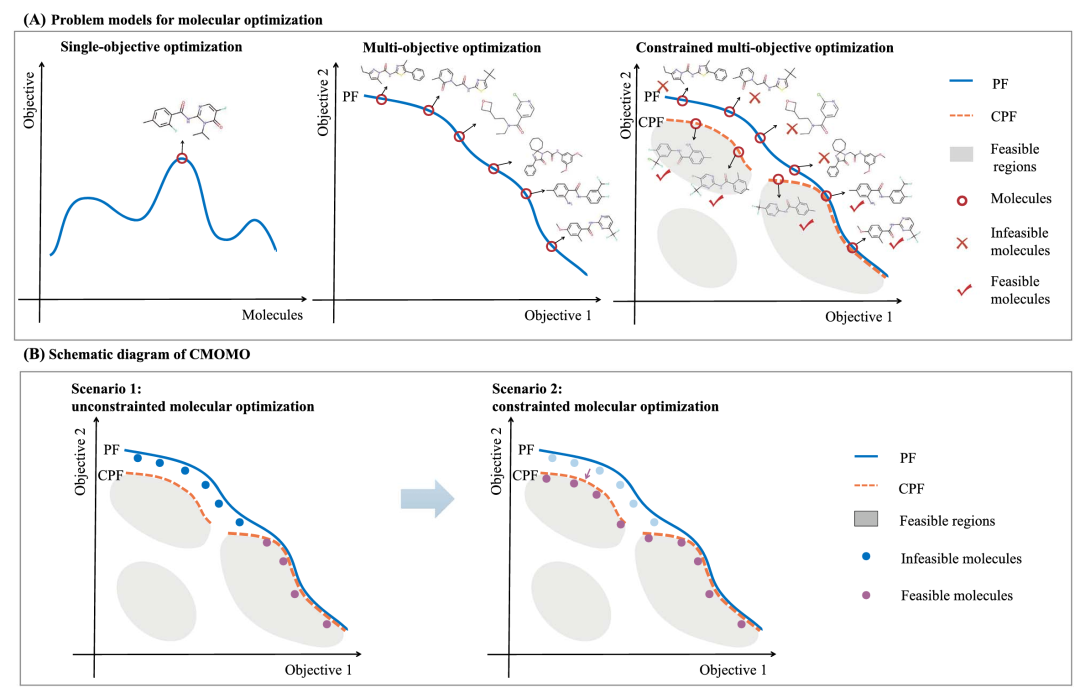 分子优化的三种问题模型及 CMOMO 的示意图。（A）单目标优化旨在找到具有最佳目标值的分子；多目标优化旨在搜索帕累托前沿（PF）上一组在多个属性间权衡的分子；约束多目标优化旨在识别约束帕累托前沿（CPF）上一组在多个属性间权衡且满足类药约束的分子。（B）CMOMO 框架的优化过程，CMOMO 首先专注于属性优化以找到位于 PF 上的分子，然后发现位于 CPF 上的分子以解决约束多目标分子优化问题。
