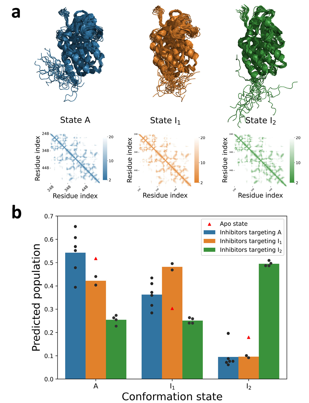a 展示了 ABL 激酶 A、I₁、I₂三种状态(对应 PDB ID 6XR6、6XR7、6XRG)的平均距离图和结构集合;b 为不同抑制剂的构象选择性预测,12 种分子按文献分为三组,分组柱状图显示各组在对应状态下的预测种群显著更高,红色三角形代表 AlphaFold2 预测的 apo 状态构象种群,预测种群与实验结果高度一致。
