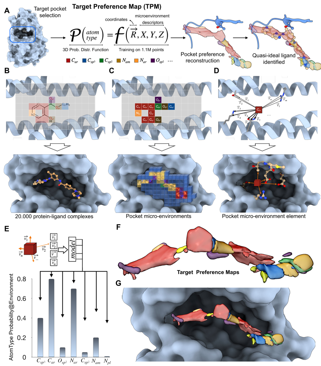 该图展示了 TPM 模型的构建原理与流程。A 为模型概念图,基于生物靶标的结合口袋,定义原子类型特异性的概率分布函数,输入为笛卡尔坐标和三维化学微环境,输出特定原子类型的占据可能性;B-D 为模型构建的二维和三维表示,包括结合口袋体素化、原子类型识别及微环境特征提取(通过收集附近蛋白质原子的邻居向量);E-F 显示模型通过 Transformer/Perceiver 架构学习化学物质分布函数,组装成三维的 TPM;G 为靶标特异性的局部偏好函数。整体呈现了从结合口袋微环境到理想配体特征预测的完整过程。