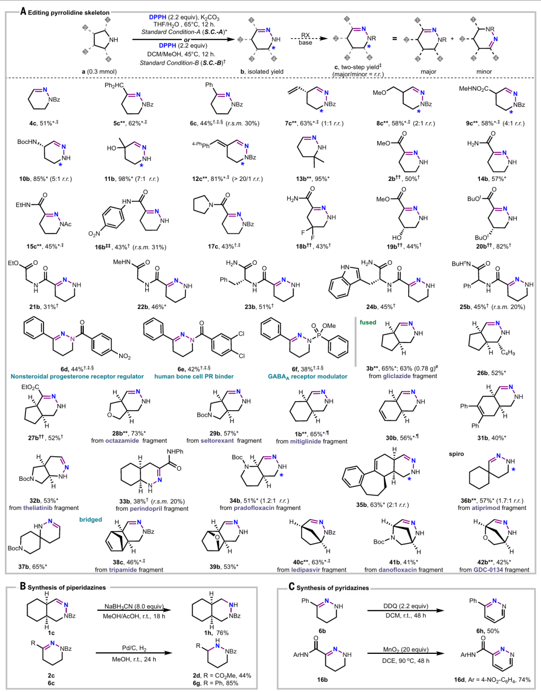 该图呈现了吡咯烷骨架的编辑及四氢哒嗪的转化，包括：（A）吡咯烷骨架的编辑；（B）哌嗪的合成；（C）哒嗪的合成。标注了标准条件 A 和 B 的具体参数，以及两步产率、克级反应、区域选择性比例等信息。