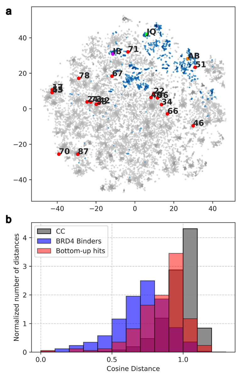 该图为最有效的化合物与已知 BRD4（BD1）结合剂相比的化学多样性分析。a 为化学 Checker 化学空间中的随机分子（绿色）、已知 BRD4 结合剂（蓝色）和发现的结合剂化合物（红色）的化学多样性示意图。b 为自下而上方法获得的化合物（橙色）、从 Chemical Checker 化学空间中随机选择的一组化合物（灰色）、来自 ChEMBL 的已知 BRD4（BD1）结合剂（蓝色）和验证的结合剂（红色）的组内距离（余弦距离）分布直方图。