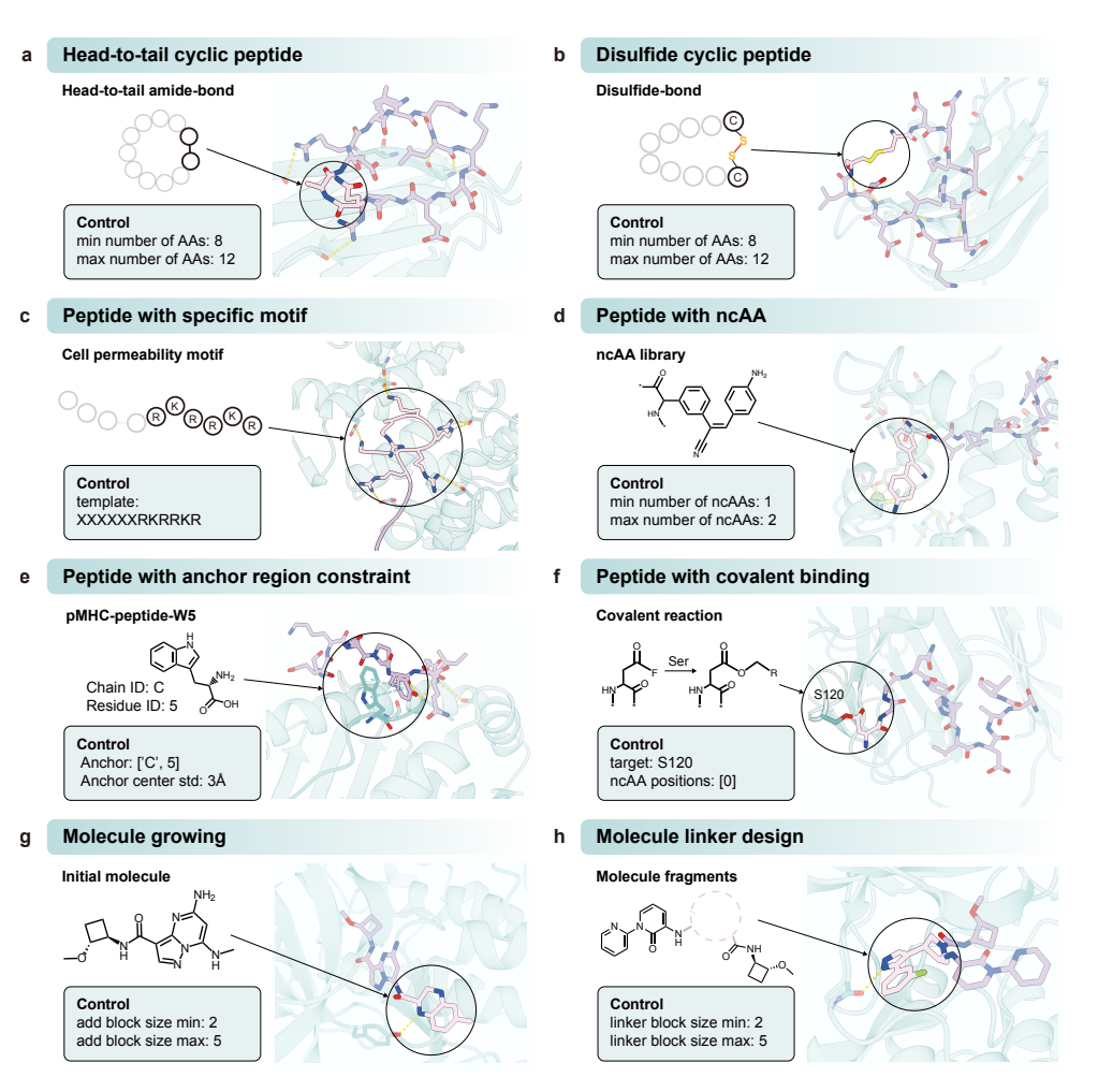 AnewOmni 的可编程设计示例