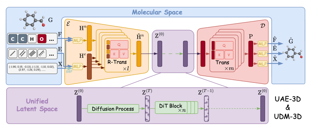 UDM-3D/UAE-3D 整体架构