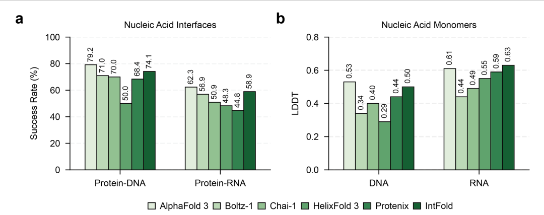 图4.(a)蛋白质 - 核酸界面预测的成功率,包括蛋白质 - DNA 和蛋白质 - RNA 复合物;(b)DNA 和 RNA 单体结构预测的平均 LDDT 得分。
