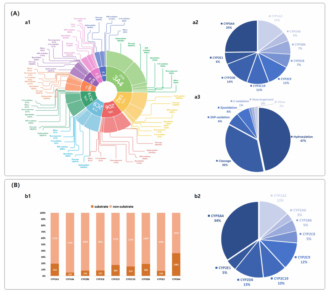 <b>图2. 底物分布与 SOM 数据集特征综合分析。</b>从两个维度解析数据集特征：A 部分聚焦 SOM 训练数据集，a1 子图展示了 CYP450 介导的各类代谢反应占比，a2 子图呈现不同 CYP 亚型在代谢过程中的相对重要性，a3 子图则细化了反应类型的具体分类及占比（如羟基化反应占比最高，约为一半）；B 部分分析底物训练数据集，b1 子图对比了各 CYP 亚型的底物与非底物分子数量分布，揭示了数据集中的类别不平衡问题（如 CYP2A6、CYP2E1 的正负样本比不足 1:10），b2 子图通过饼图展示各 CYP 亚型的底物数量占比，其中 CYP3A4 占比 34%，凸显其在药物代谢中的核心地位。此外，配套的 UpSet 图还显示超半数分子可被多种酶代谢，为多任务学习策略提供了数据支撑。
