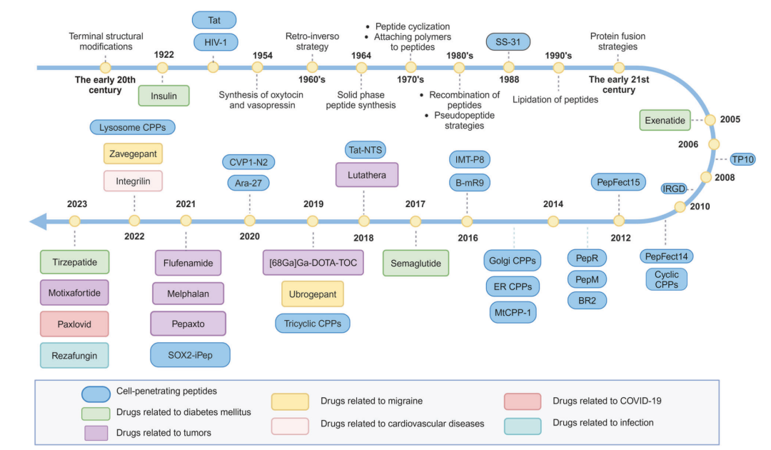 多肽药物发展时间线。上图以时间线形式展示了胰岛素、Lutathera、Semaglutide、Tirzepatide、Paxlovid、Rezafungin、Motixafortide 等代表性多肽相关药物，同时标注了 peptide cyclization、lipidation、protein fusion、cell-penetrating peptides 等结构优化和递送策略的发展节点。