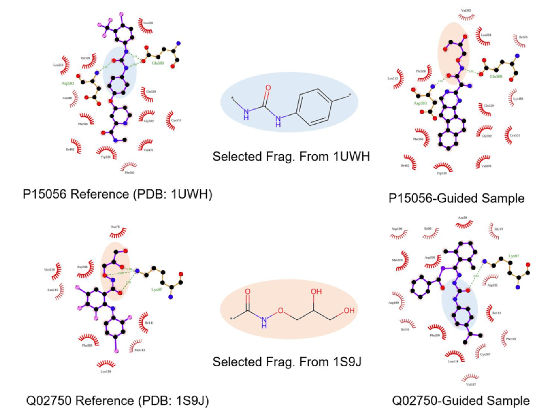 此图展示固定一个靶点的活性片段并引导生成另一个靶点的双靶点分子结果。左面板为从 PDB 复合物结构提取的两个靶点结合位点，为每个靶点选取一个生物活性片段作为条件，同时引导生成另一个靶点的分子；右面板为生成的分子，这些分子能保留给定片段且在另一个分类器上有良好预测分数，验证了模型在片段约束下的双靶点设计能力。
