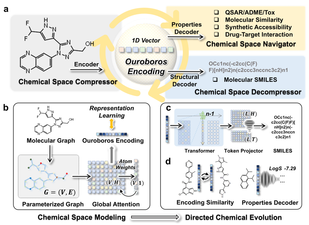 用于化学空间导航的 Ouroboros 协议