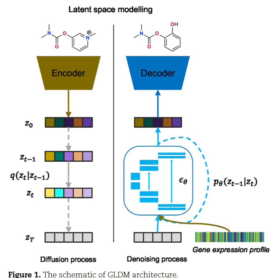GLDM整体架构示意图,展示自动编码器、潜空间扩散过程和条件生成流程