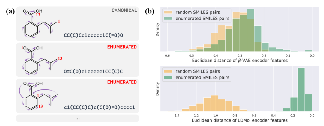 SMILES 枚举对编码器特征的影响 - 展示同一分子的不同枚举在潜空间中的距离变化