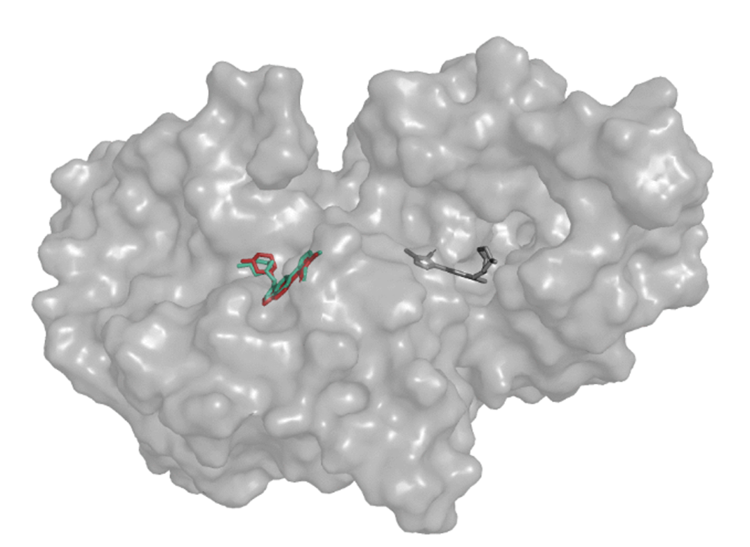 该图展示了特定案例 6QR3 的 docking 结果。DiffDock（灰色）错误预测在另一口袋，而 GeoDirDock（蓝色）则准确对齐真实结合位点（红色），表明几何引导能有效避免口袋预测错误。