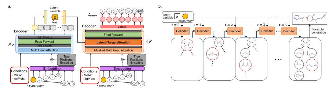 该图展示了 FRATTVAE 的模型架构和分子生成过程。其中,图 1a 呈现了模型的整体架构,编码器和解码器均采用多头注意力和前馈层处理潜在变量以进行分子生成,过程中融入了树位置编码以及分子量(MolWt)、logP 等条件,通过注意力机制处理复杂依赖关系,确保大型复杂分子结构的准确生成。图 1b 描绘了 FRATTVAE 中的分子生成流程,训练条件变分自编码器时,在〈super root〉之前提供条件,从潜在变量出发,解码器按顺序生成子节点,保证分子结构的正确重建。