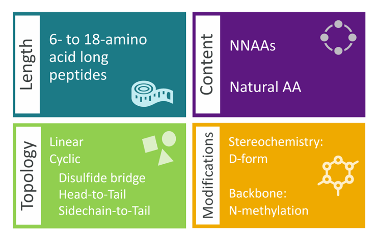 图 1:半合成数据的特征。该图展示了半合成数据集的主要特征,包括肽链长度(6 到 18 个氨基酸)、天然与非天然氨基酸的比例、肽的拓扑结构(线性、环化等)以及立体化学和骨架修饰(如 D 型异构体、骨架 N - 甲基化)。这些特征共同构成了多样化的训练数据,确保模型能学习到丰富的肽结构信息。