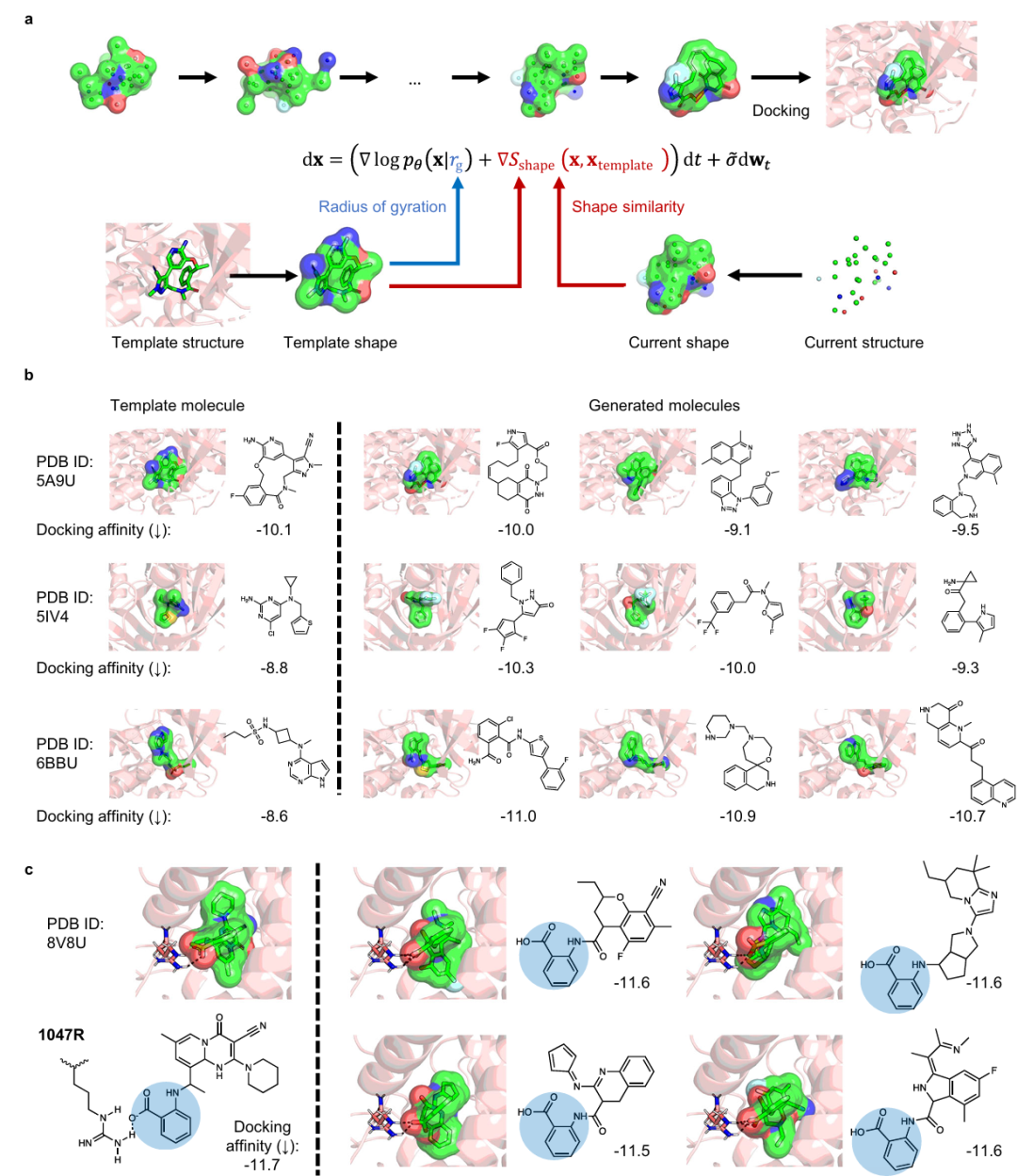 图6:基于MolEdit的先导分子印迹设计。a. 形状感知扩散过程的随机微分方程,结合回旋半径和形状相似性评分;b. 生成分子与模板分子(如Lorlatinib)的形状、对接构象和亲和力对比;c. PI3Kα-H1047R抑制剂的设计,生成分子保留关键氢键且对接评分高。