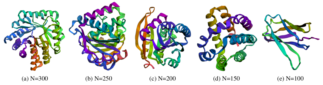<b>IDFlow 生成的不同长度可设计蛋白质骨架。</b>该图展示了 IDFlow 在蛋白质骨架生成任务中，针对不同长度（N=100,150,200,250,300）蛋白质生成的可设计构象，对应子图 (a) 至 (e)。生成的蛋白质骨架采用非冗余拓扑结构，且同时包含 α- 螺旋与 β- 折叠两种关键二级结构，与天然蛋白质的结构多样性特征相符。这一结果直接佐证了 IDFlow 的优势 —— 区别于 FoldFlow2 等基线模型易 “结构坍塌”（仅生成螺旋结构）的问题，IDFlow 能生成符合天然蛋白质结构规律的多样化构象，且所有展示构象均通过 “设计性” 验证（可通过逆折叠得到功能序列），证明其具备实际蛋白质工程应用潜力。