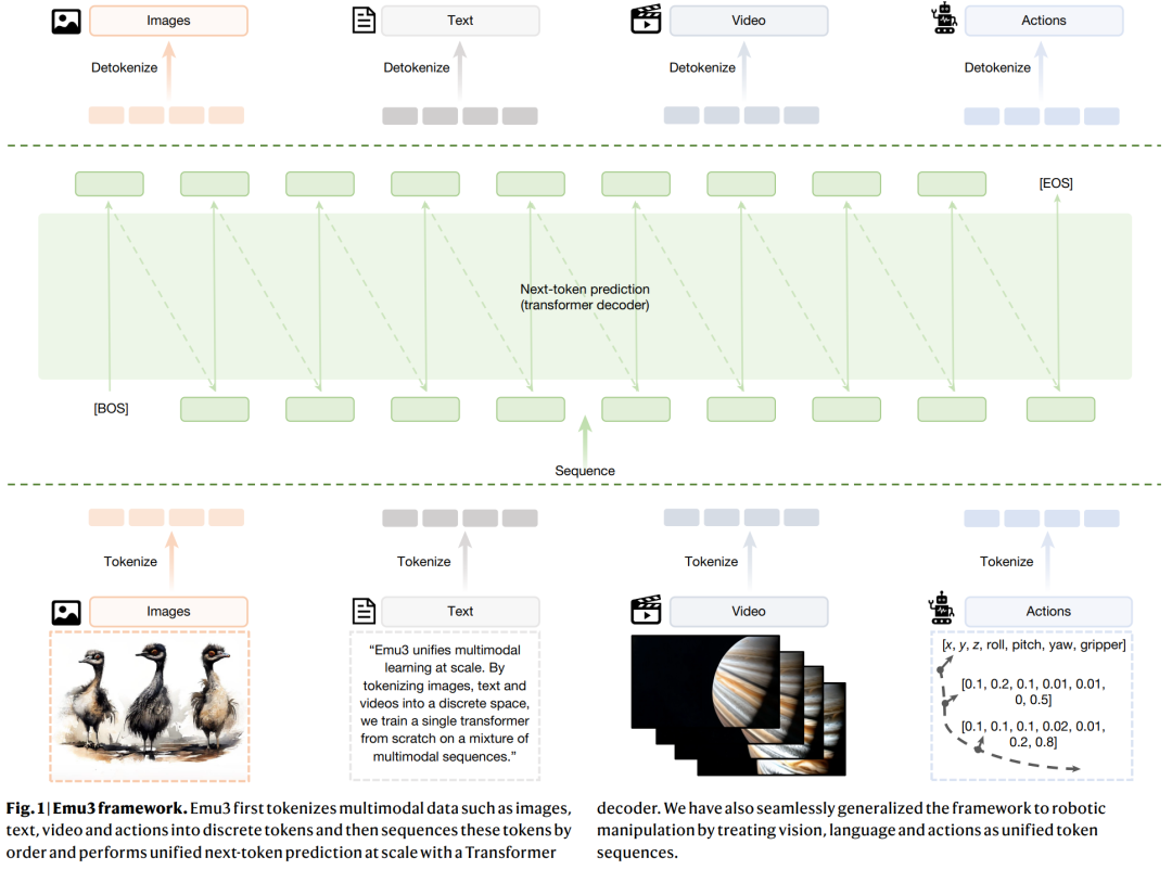 Emu3 框架示意图，展示图像、文本、视频和动作如何被统一 Tokenize 并输入到单个 Transformer 模型中。