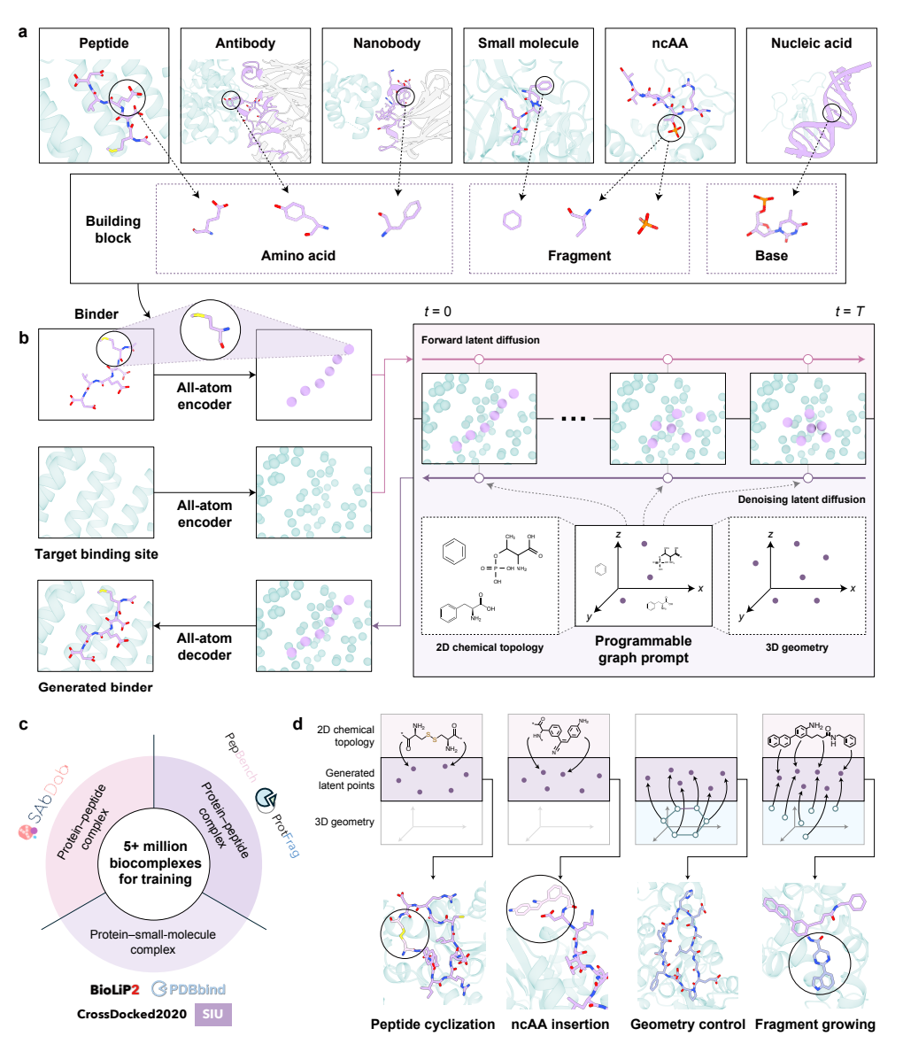 AnewOmni 的整体框架概览