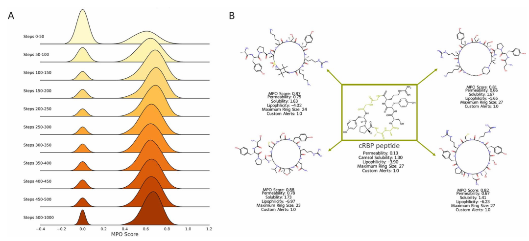 图 10:多参数优化(MPO)得分分布及示例肽。(A)脊线图展示了前 500 步及后续过程中生成肽的 MPO 得分分布,显示模型在 200 步左右聚焦于高得分肽,随后因多样性过滤探索更多设计;(B)展示了生成的示例肽及其 MPO 各组件得分,这些肽围绕输入的环化 Rev 结合肽(cRBP)进行设计,体现了优化效果。