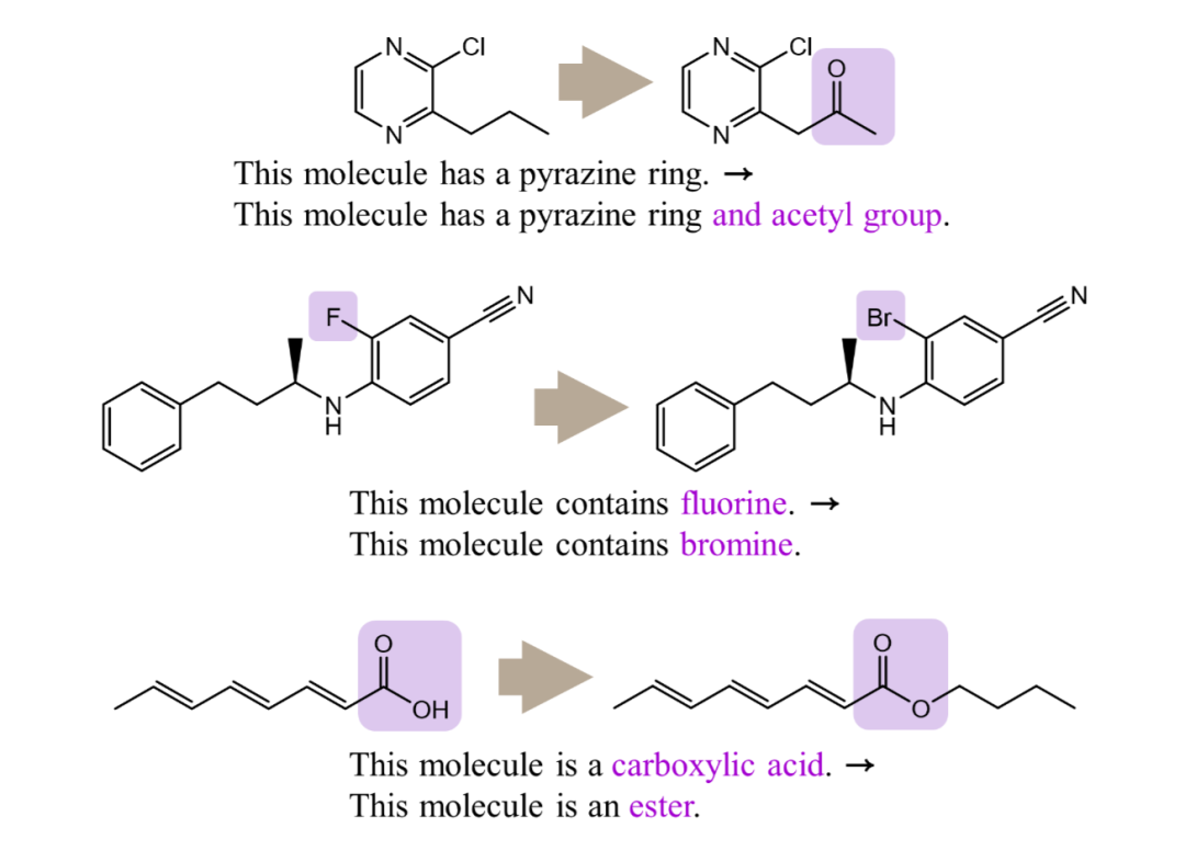 文本引导分子编辑的具体化学结构变化示例