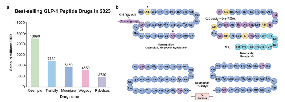 销售额排名前五的 GLP-1 激动剂及其结构特征。上图左侧展示 Ozempic、Trulicity、Mounjaro、Wegovy、Rybelsus 的销售情况；右侧展示这些 GLP-1 / incretin 药物的氨基酸组成、连接顺序和特征结构。