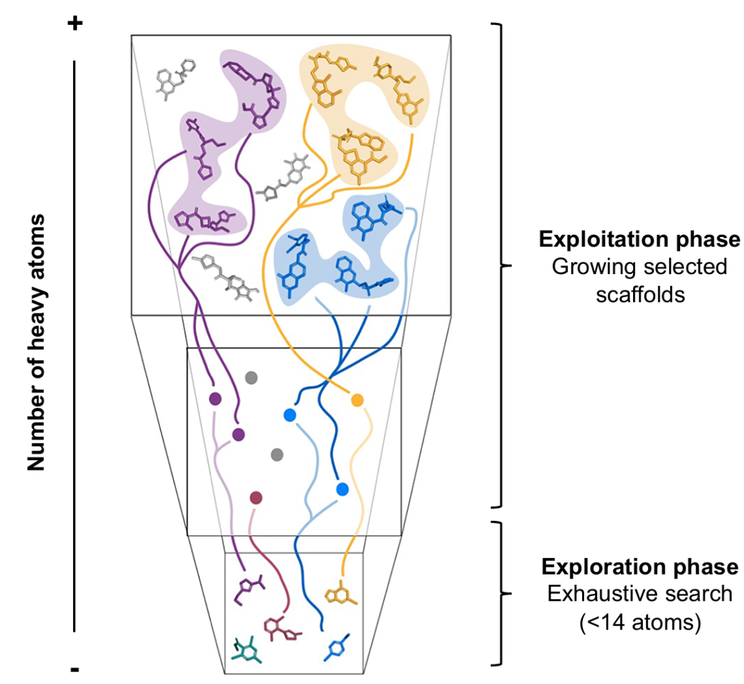 该图为自下而上探索庞大化学空间的示意图。低分子量化学空间（底部）的分子数量较少，可进行系统探索。在该空间中发现的有潜力的命中化合物，标志着化学空间中的优势区域，通过从庞大的按需化合物库中枚举以骨架为中心的库（彩色线条）来利用这些区域。对这些聚焦库进行虚拟筛选，可识别出有效的类药化合物。