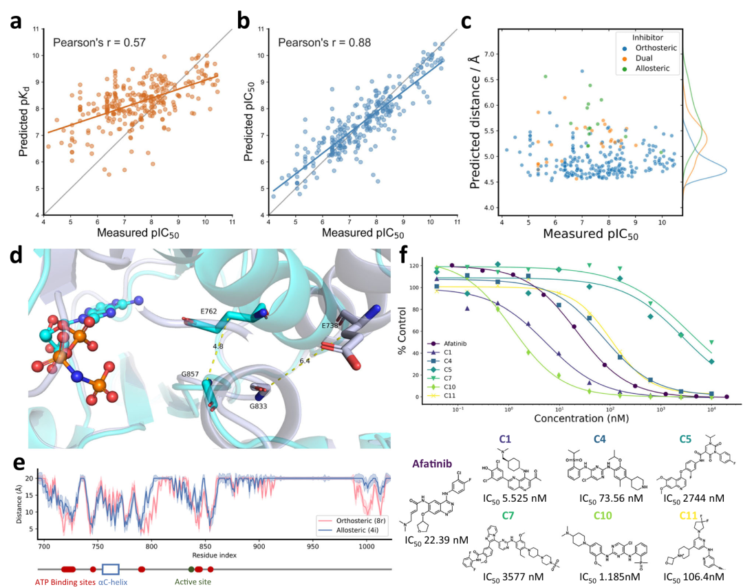 该图包含多个子图,a 和 b 分别展示了 Ligand-Transformer 在 EGFR-290 数据集上未使用迁移学习和使用迁移学习后,预测的结合参数与实验 plC₅₀值的相关性,后者 Pearson 相关系数提升至 0.88;c 展示了不同配体结合状态下 EGFR 的 E762 和 G857 残基间预测距离分布及结合模式;d 对比了 EGFR 激酶结构域活性与非活性状态的 X 射线结构;e 为配体与残基的预测距离线图;f 显示了所选化合物的体外激酶抑制实验结果及 IC50 值。