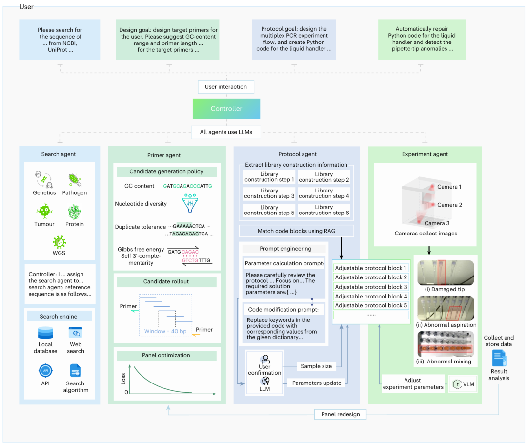 PrimeGen 是一个由 LLM 驱动的智能辅助系统,旨在通过靶向二代测序(tNGS)协助研究人员进行引物设计及后续实验验证。系统的控制器通过解读用户意图启动对话周期,并将特定任务分配给四个子智能体:搜索智能体(从外部或内部来源检索基因组模板文件)、引物智能体(通过确定扩增目标并利用相关工具负责引物设计)、协议智能体(通过检索增强生成(RAG)和提示工程生成可执行的液体处理代码),以及实验智能体(通过视觉异常检测模块纠正代码错误并监控机器人操作)。