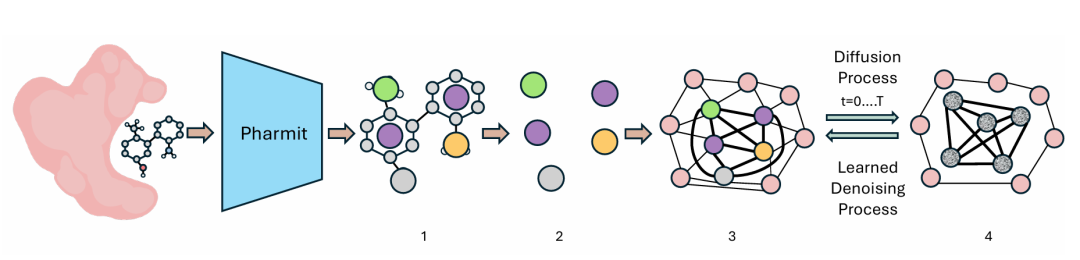 该图展示了 PharmacoForge 中蛋白质 - 药效团图的构建和训练过程。首先，将 CrossDocked 数据集中的蛋白质和配体通过 Pharmit 识别相互作用药效团；接着提取药效团中心和最近的蛋白质原子，构建蛋白质 - 药效团图；随后对该图进行迭代加噪，以训练模型的去噪过程。