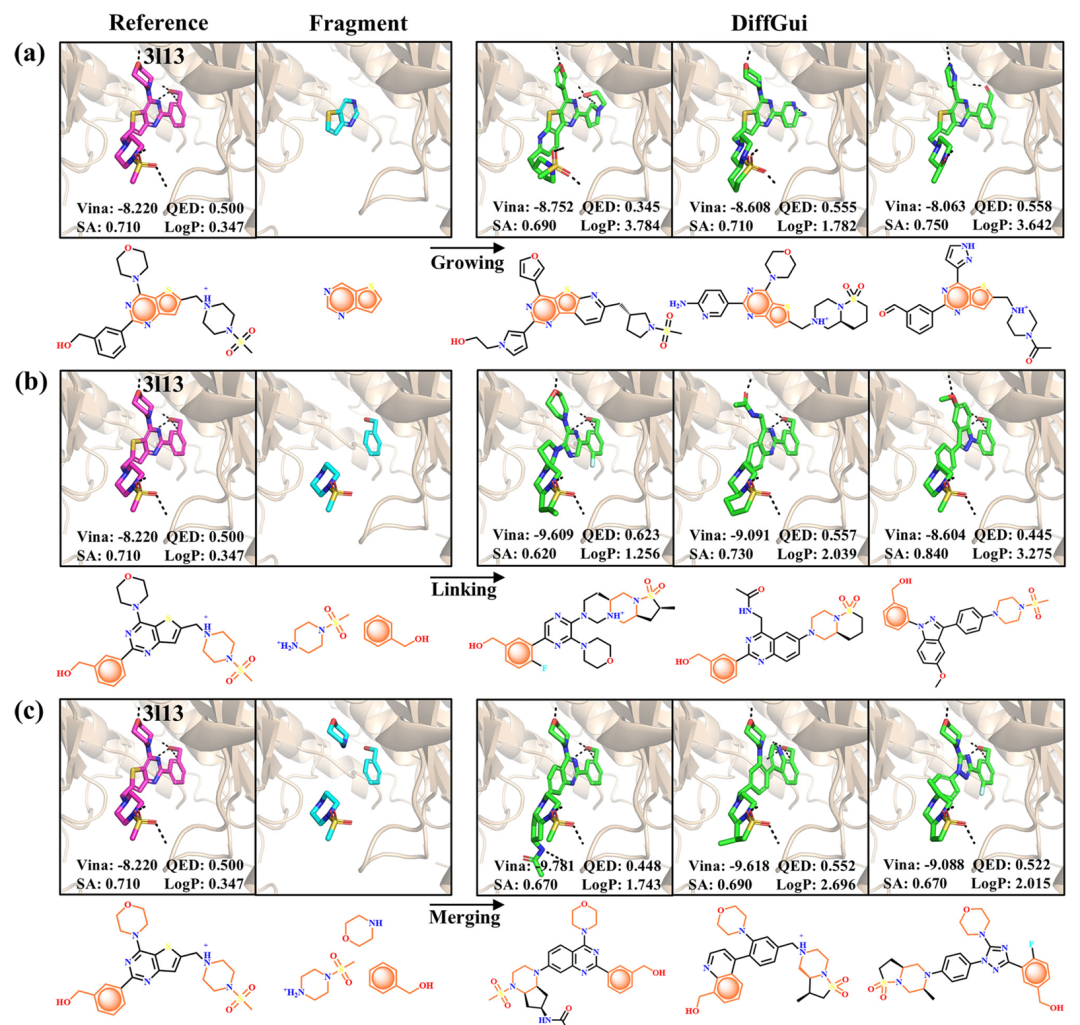 <b>基于片段去噪法的 3l13 靶点先导化合物优化展示。</b>该图包含 3 个子图（a-c），以 PDBid 3l13（靶点为 PI3K 激酶）为对象，展示 DiffGui 通过片段去噪法实现先导优化的三种场景，橙色标注固定种子片段。子图 (a) 为片段生长：以噻吩并嘧啶为种子，生成分子保留了参考配体与 Lys802、Asp841 等残基的相互作用，同时将吗啉环替换为呋喃、吡唑等更优基团，Vina 得分从 - 8.220 提升至 - 8.752；子图 (b) 为片段链接：输入两个片段实现骨架跃迁，生成分子的 Vina 得分达 - 9.609，QED 值提升至 0.623；子图 (c) 为片段融合：输入三个片段，生成分子的 Vina 得分低至 - 9.781，且 QED、SA 值均优于或持平参考配体，验证了 DiffGui 在片段驱动先导优化中的有效性。