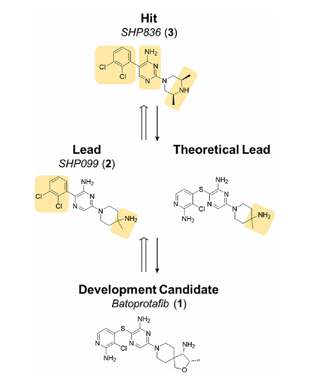 优化的逻辑。正向箭头代表从 Hit 到 DC 的优化过程，分子能力不断增强。反向的开放箭头则代表本文提出的“逆向优化分析”，通过“优化子”（黄色高亮部分）来解构和理解优化路径。