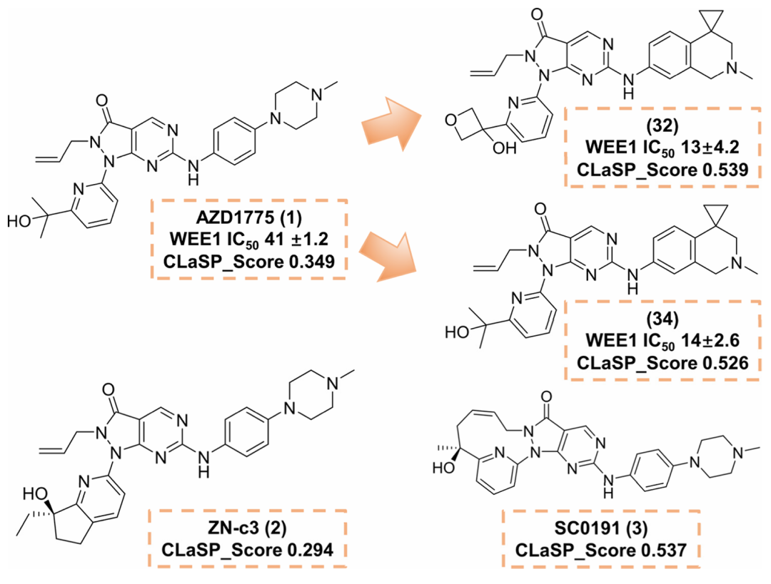 基于 AZD1775（1）的 WEE1 抑制剂结构优化展示，标注了关键化合物的 CLaSP 评分和 WEE1 抑制活性（IC₅₀）。化合物 32 和 34 表现出更高的效力和 CLaSP 评分，SC0191（3）相比 ZN-c3（2）具有更优的特性，与 CLaSP 评分一致。