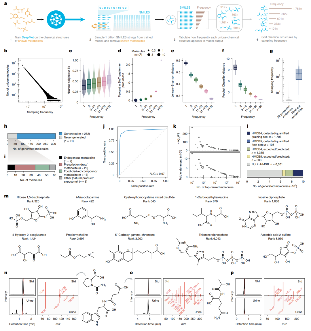采样频率作为代谢物样性的排序信号。作者从 DeepMet 中采样 10 亿条 SMILES，并统计每个唯一结构出现的次数。高频生成结构更接近已知代谢物，也更富集 HMDB 5.0 后来新增的实验检测代谢物。