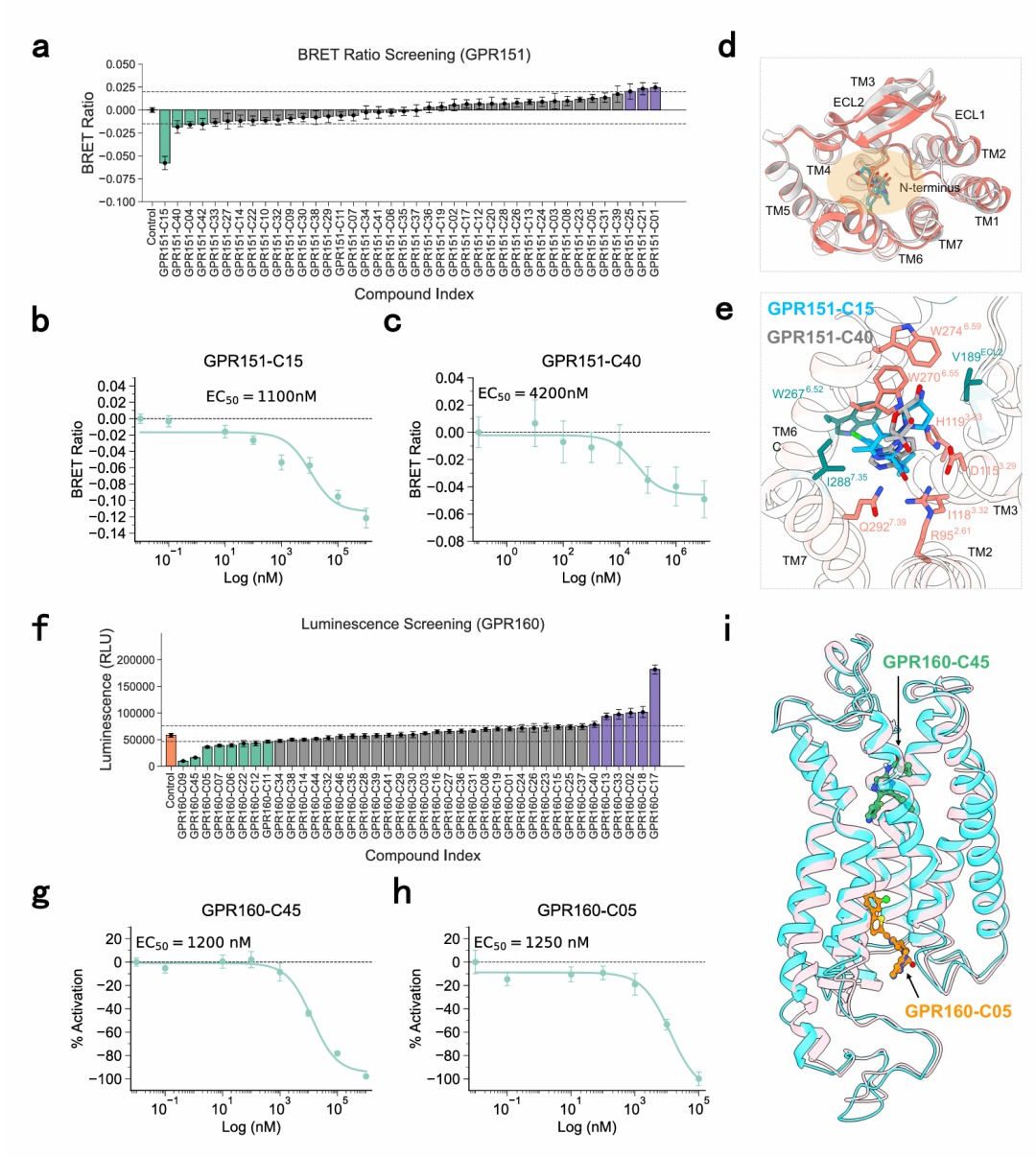 该图展示了针对孤儿 GPCR（GPR151 和 GPR160）的功能验证结果。GPR151 的 BRET2 测定发现 7 个活性化合物，其中 GPR151-C15 和 GPR160-C40 的 EC₅₀分别为 1100 nM 和 4200 nM，结构建模显示它们与受体的正交口袋结合并形成关键相互作用。GPR160 的 GloSensor cAMP 测定发现 14 个活性化合物，GPR160-C45 和 GPR160-C05 的 EC₅₀约为 1200 nM 和 1250 nM，且结合模式不同，证明 AuroBind 对未表征靶点的筛选能力。