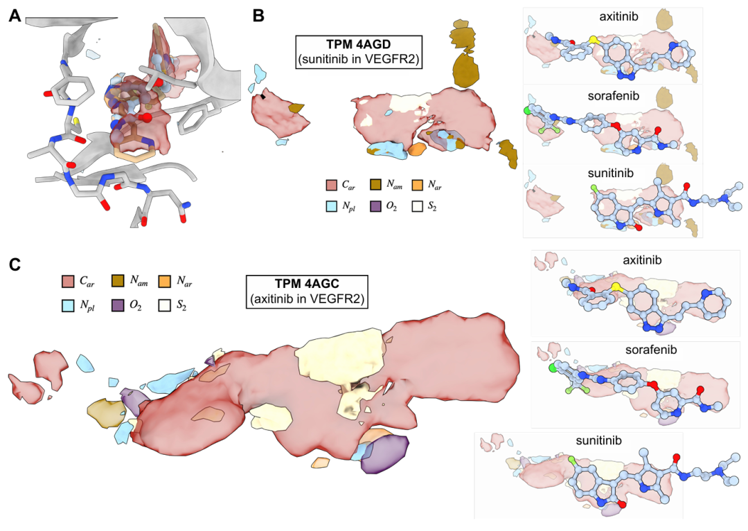 图 S1:VEGFR 晶体结构的 TPM 额外验证。该图补充验证 TPM 在 VEGFR 与索拉非尼、舒尼替尼、阿西替尼复合物中的预测。A 中阿西替尼的吡啶环氮不与靶标作用,TPM 无对应信号;B 为舒尼替尼结合的 VEGFR 的 TPM 与其他配体的重叠;C 为阿西替尼结合的 VEGFR 的 TPM 与其他配体的重叠。结果进一步证明 TPM 不依赖特定配体,而是捕捉受体固有偏好。